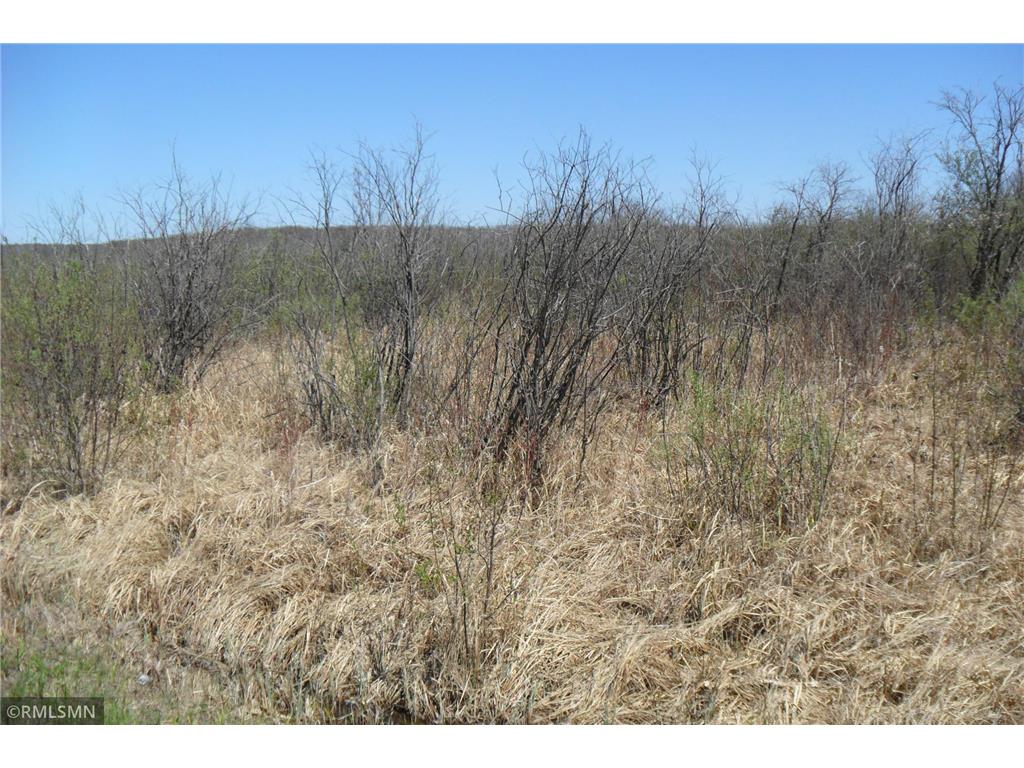 35xxx 100th Ave. Onamia MN 56359 6718115 image2