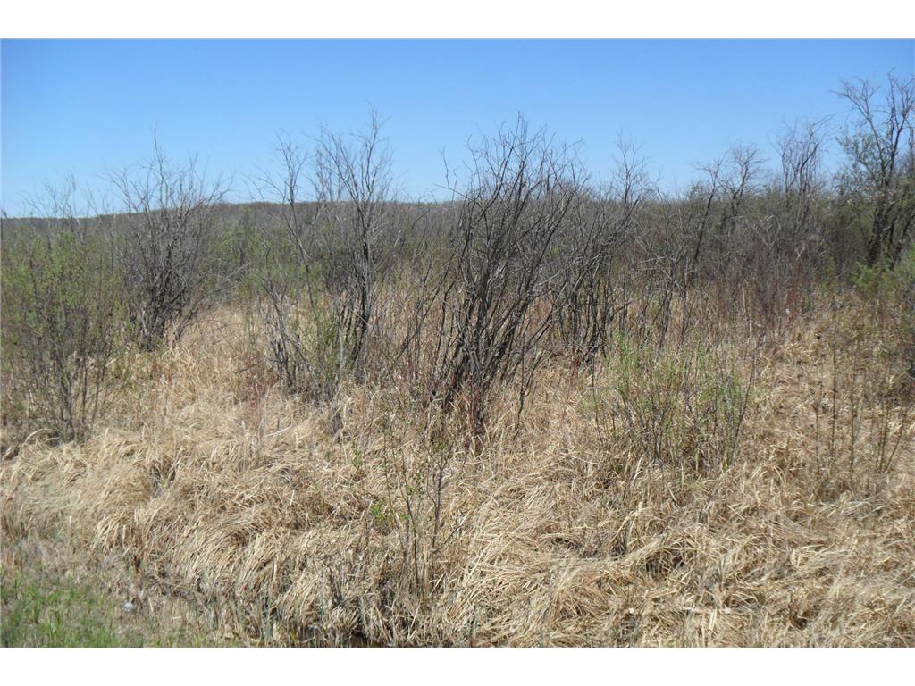 35xxx 100th Ave. Onamia MN 56359 7073928 image2
