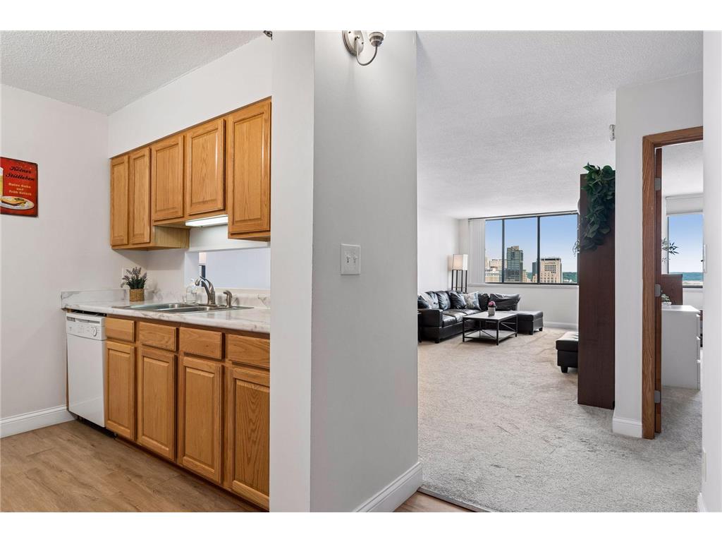 360 Sherman Street #1604 Saint Paul MN 55102 7082545 image10