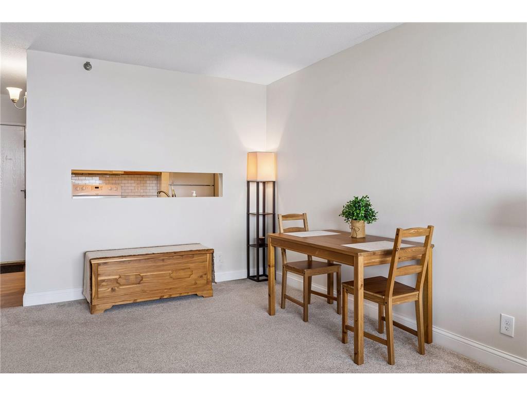 360 Sherman Street #1604 Saint Paul MN 55102 7082545 image13