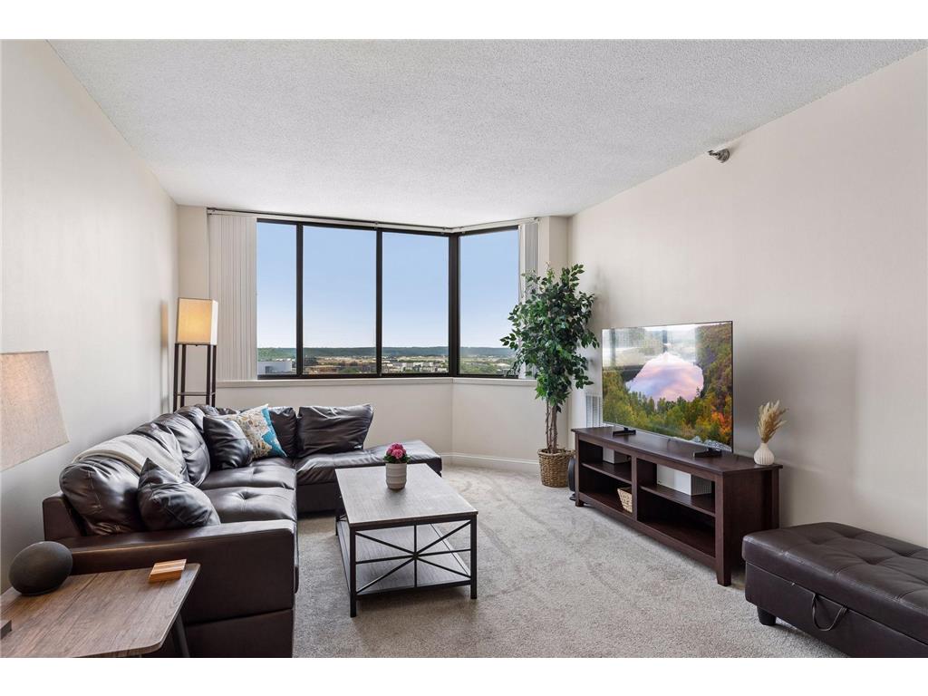 360 Sherman Street #1604 Saint Paul MN 55102 7082545 image15