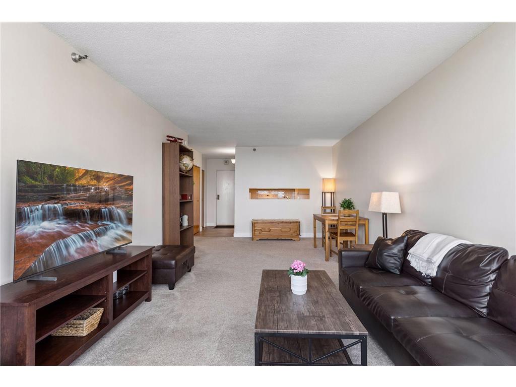 360 Sherman Street #1604 Saint Paul MN 55102 7082545 image17