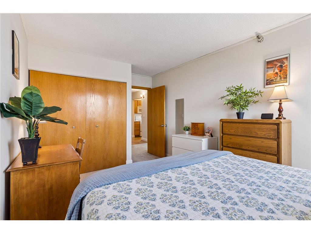 360 Sherman Street #1604 Saint Paul MN 55102 7082545 image21