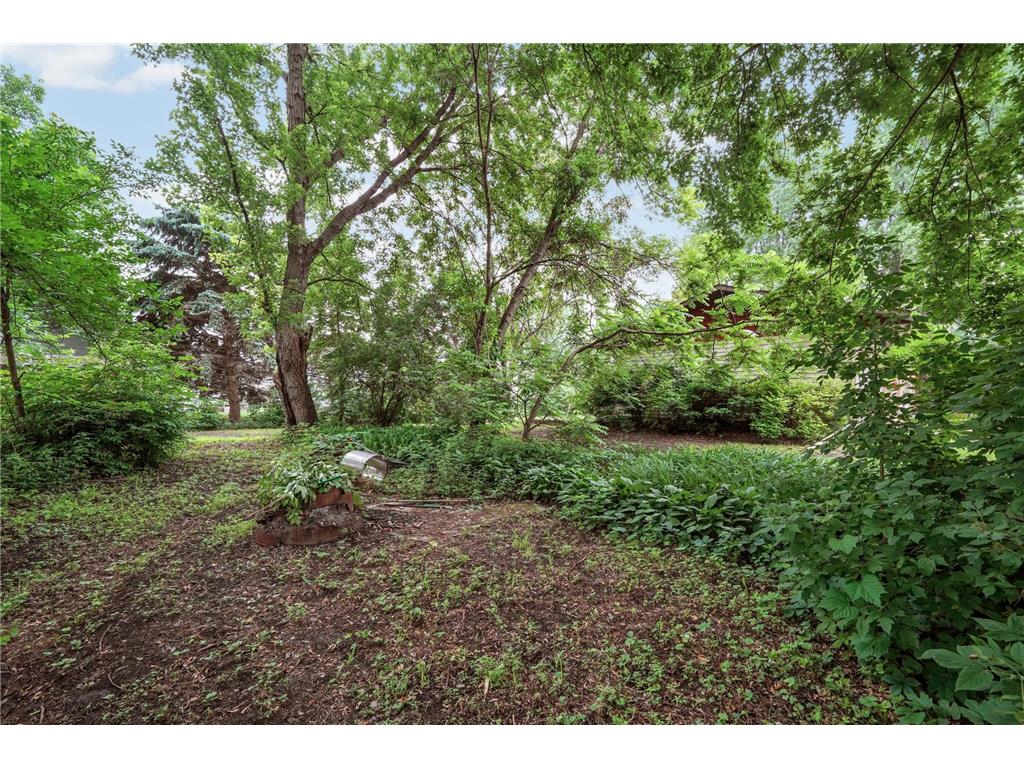 360 Sophia Avenue Hamburg MN 55339 7083300 image46