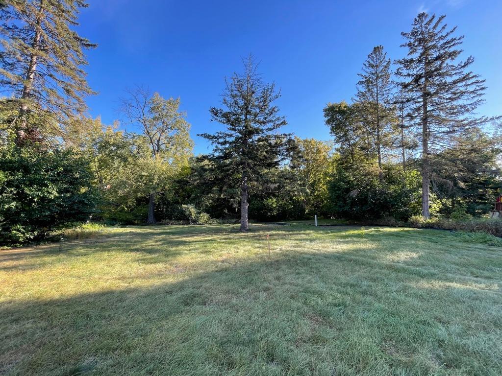 3601 W 55th Street Edina MN 55410 - Minnehaha Creek 6551693 image10