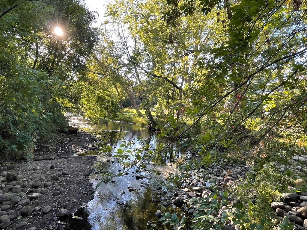 3601 W 55th Street Edina MN 55410 - Minnehaha Creek 6551693 image29