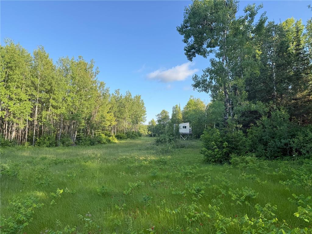 3602 Moose Ridge Rd. Isabella MN 55607 6749194 image23