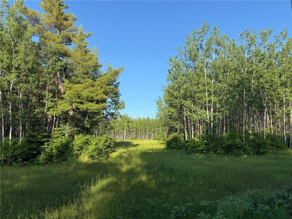 3602 Moose Ridge Rd. Isabella MN 55607 6749194 image24