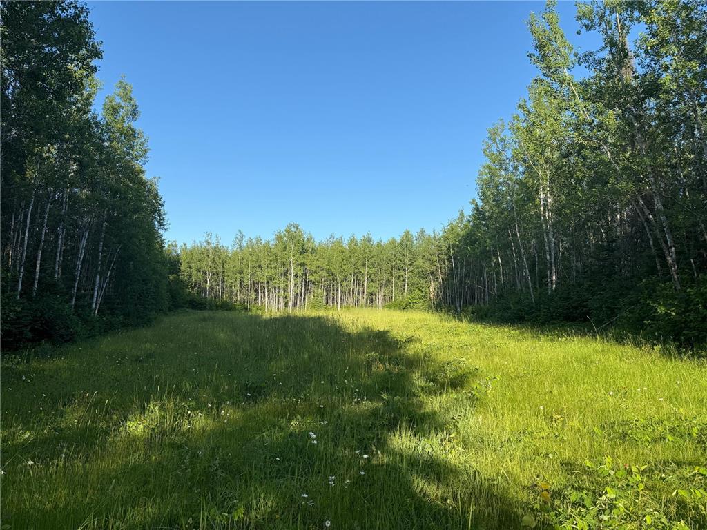 3602 Moose Ridge Rd. Isabella MN 55607 6749194 image25