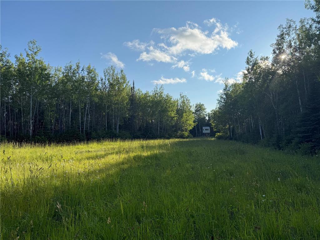 3602 Moose Ridge Rd. Isabella MN 55607 6749194 image27