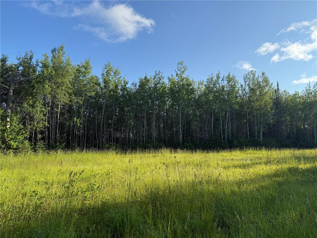 3602 Moose Ridge Rd. Isabella MN 55607 6749194 image28