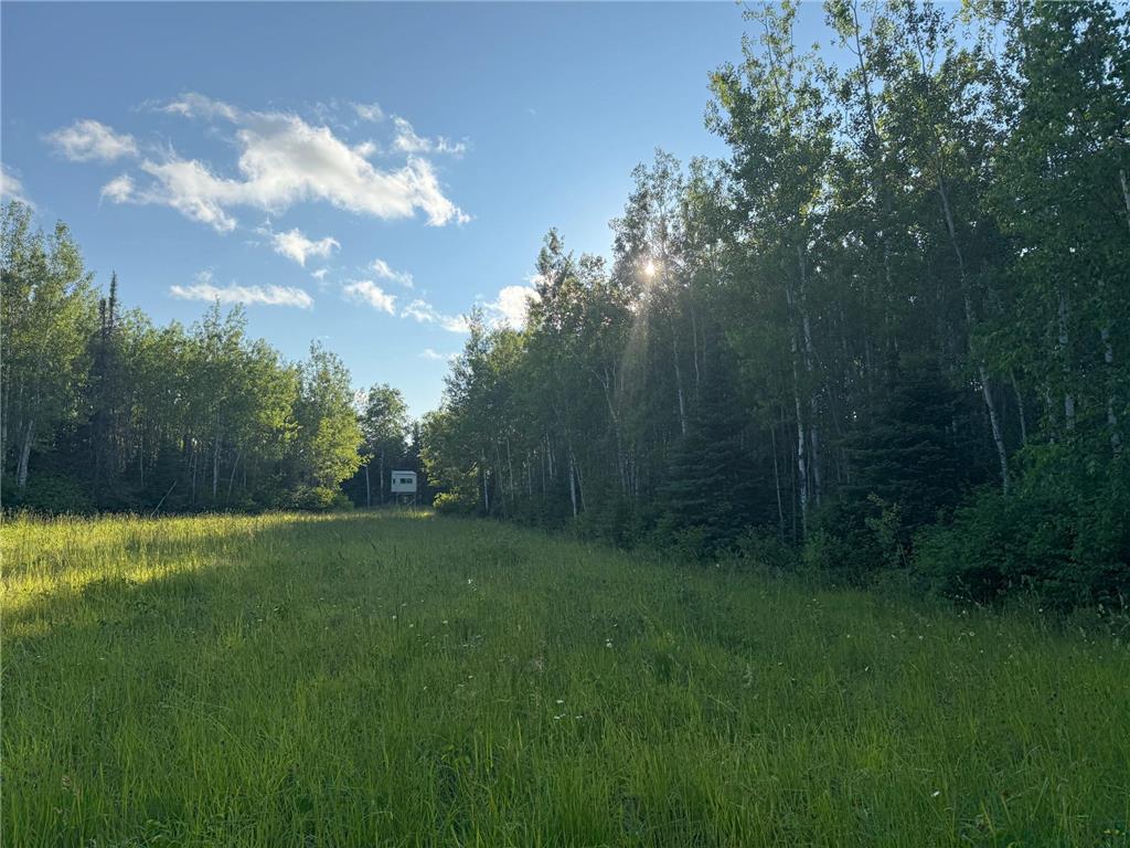 3602 Moose Ridge Rd. Isabella MN 55607 6749194 image29