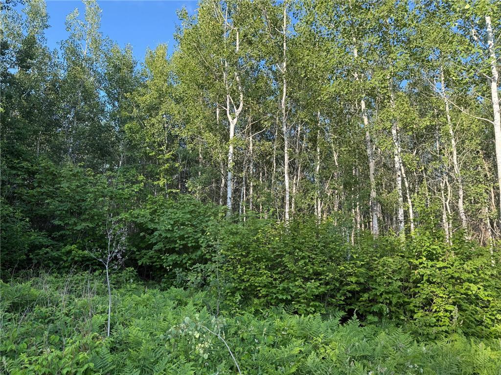 3602 Moose Ridge Rd. Isabella MN 55607 6749194 image30