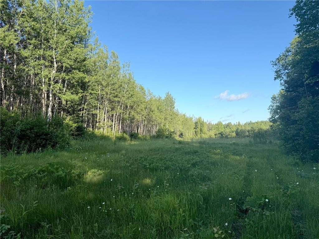 3602 Moose Ridge Rd. Isabella MN 55607 6749194 image31