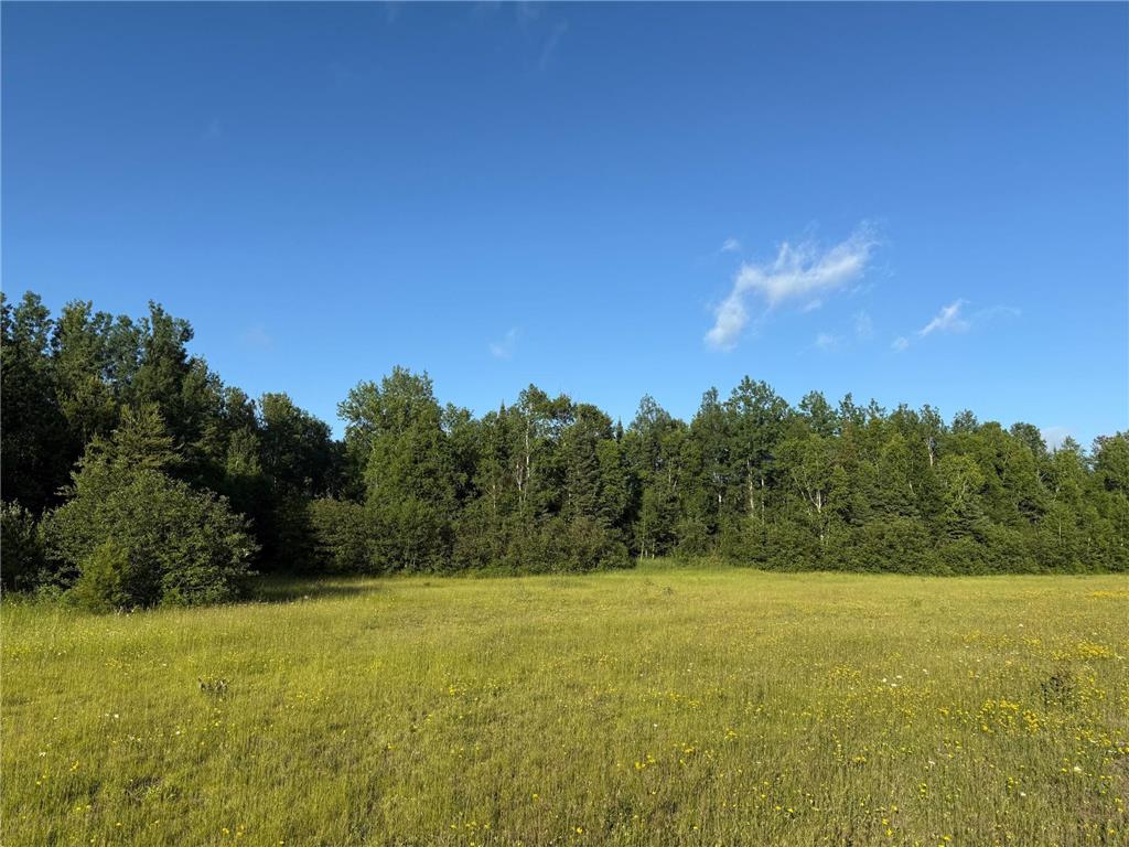 3602 Moose Ridge Rd. Isabella MN 55607 6749194 image32