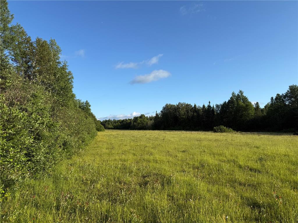 3602 Moose Ridge Rd. Isabella MN 55607 6749194 image35