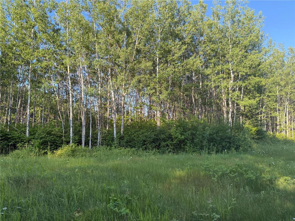 3602 Moose Ridge Rd. Isabella MN 55607 6749194 image36