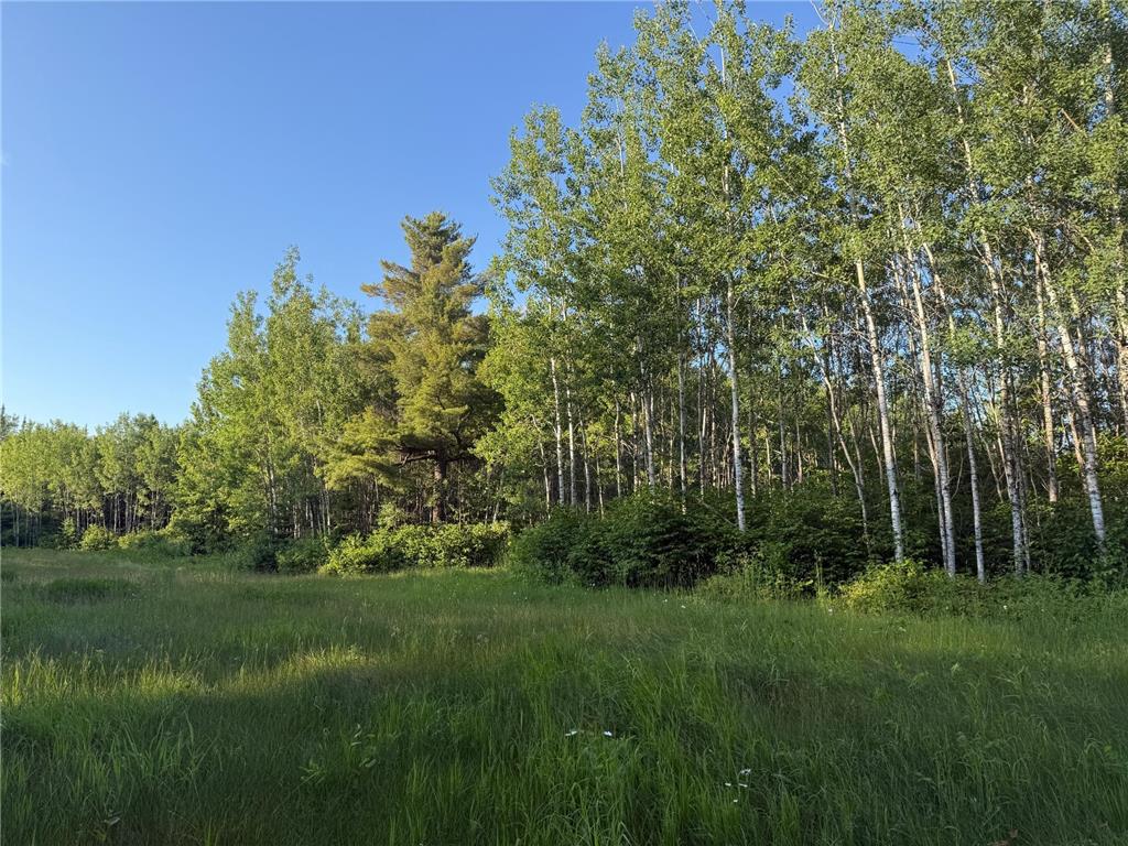 3602 Moose Ridge Rd. Isabella MN 55607 6749194 image37