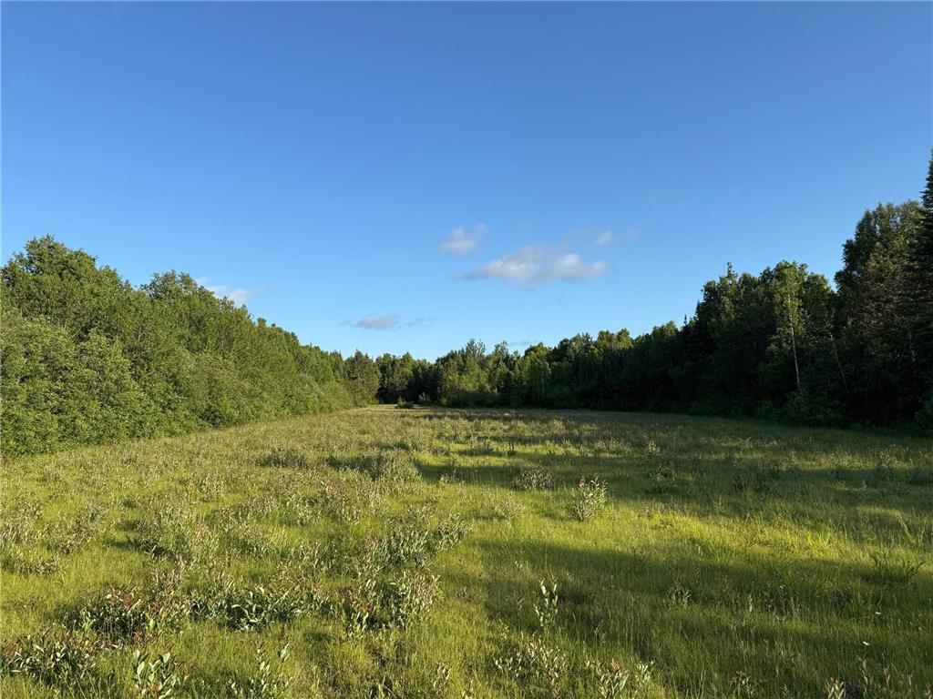 3602 Moose Ridge Rd. Isabella MN 55607 6749194 image39