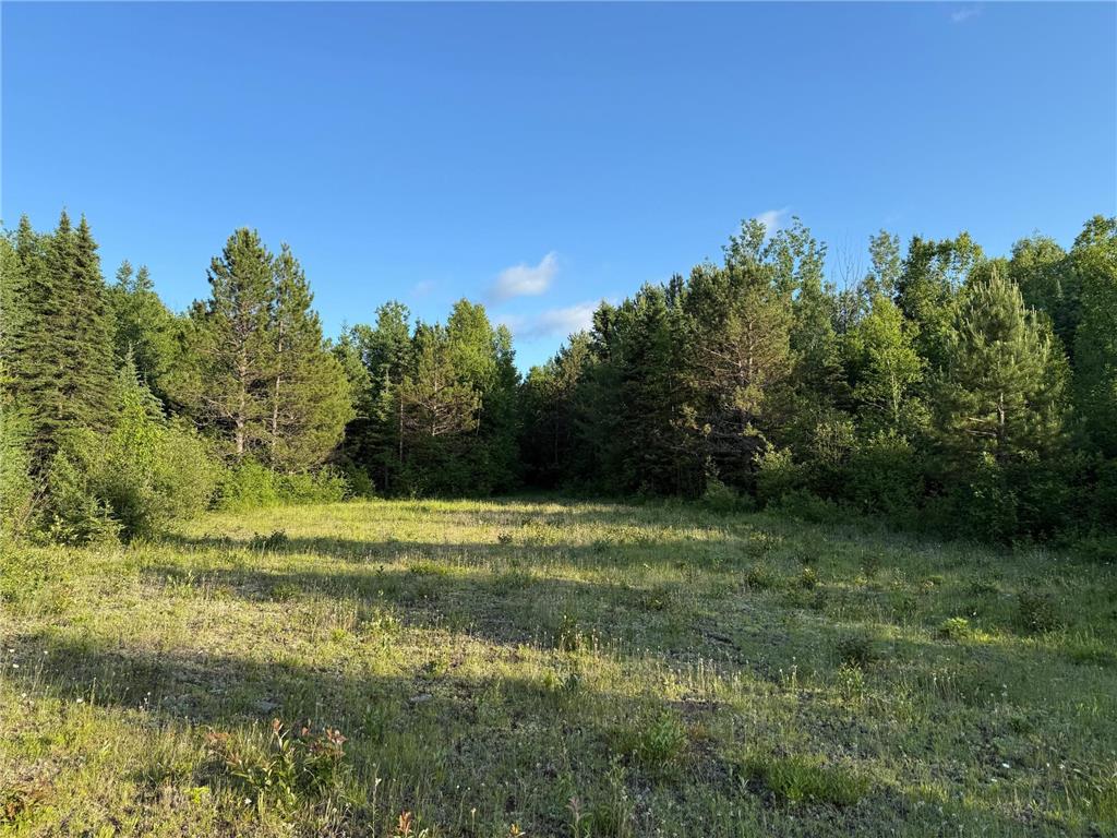 3602 Moose Ridge Rd. Isabella MN 55607 6749194 image40