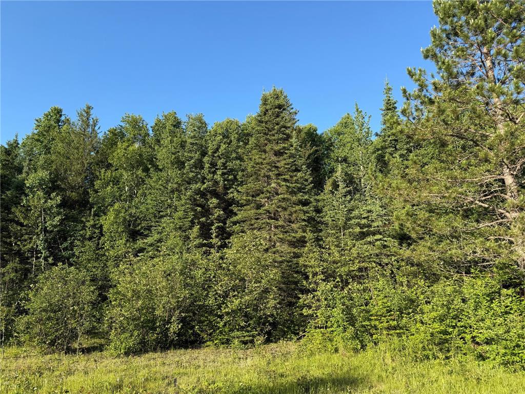 3602 Moose Ridge Rd. Isabella MN 55607 6749194 image43