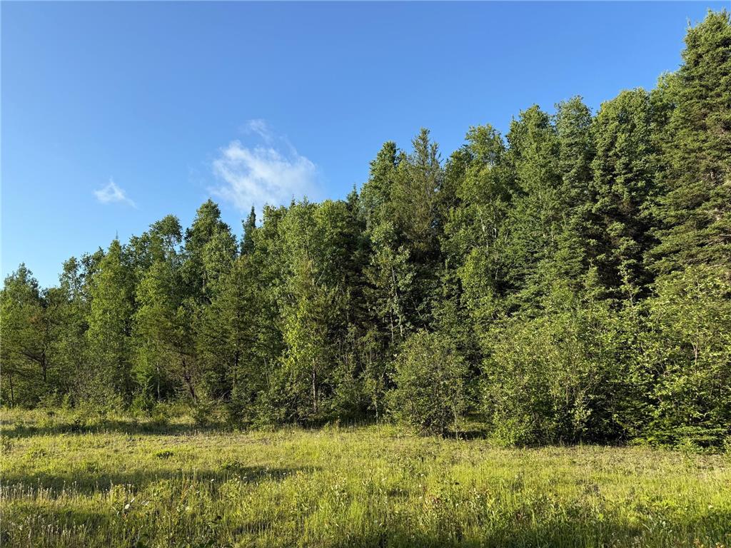 3602 Moose Ridge Rd. Isabella MN 55607 6749194 image44