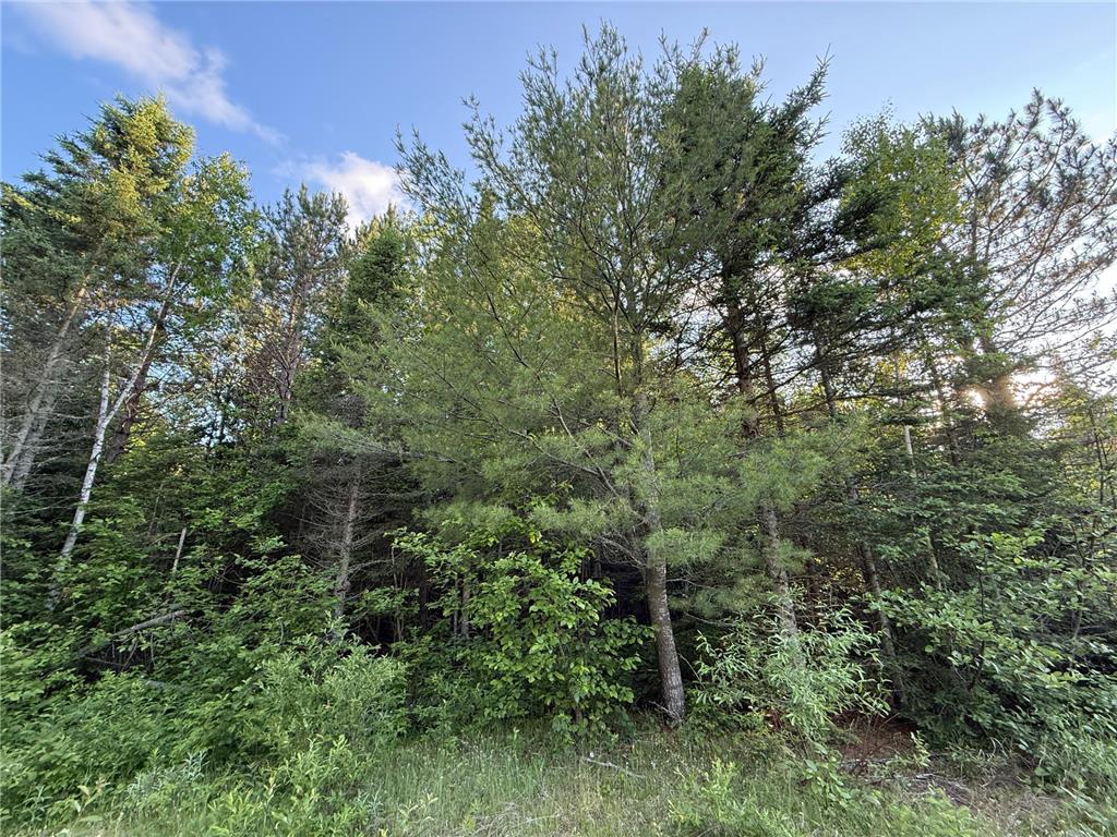 3602 Moose Ridge Rd. Isabella MN 55607 6749194 image45