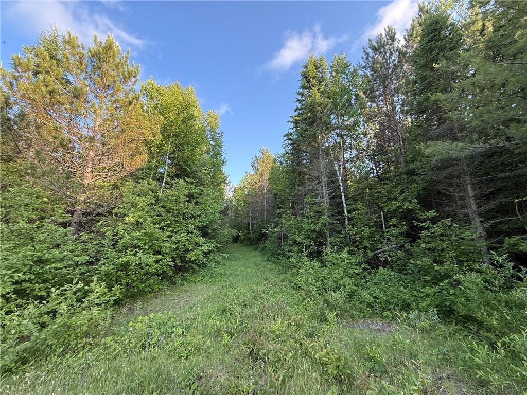 3602 Moose Ridge Rd. Isabella MN 55607 6749194 image46