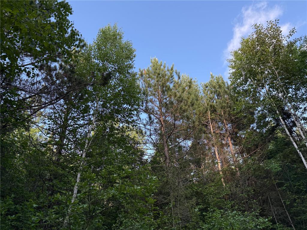 3602 Moose Ridge Rd. Isabella MN 55607 6749194 image48