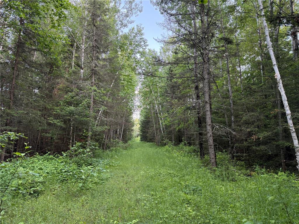 3602 Moose Ridge Rd. Isabella MN 55607 6749194 image49