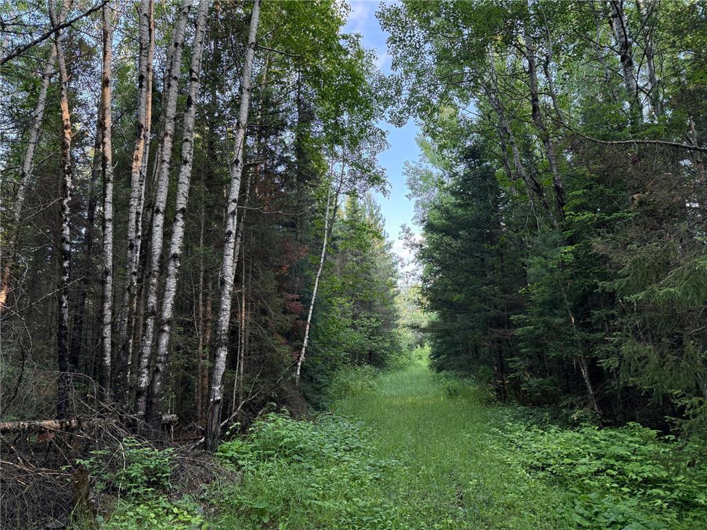 3602 Moose Ridge Rd. Isabella MN 55607 6749194 image50