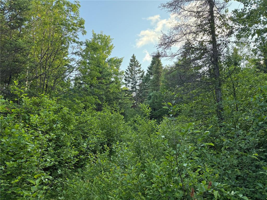 3602 Moose Ridge Rd. Isabella MN 55607 6749194 image52