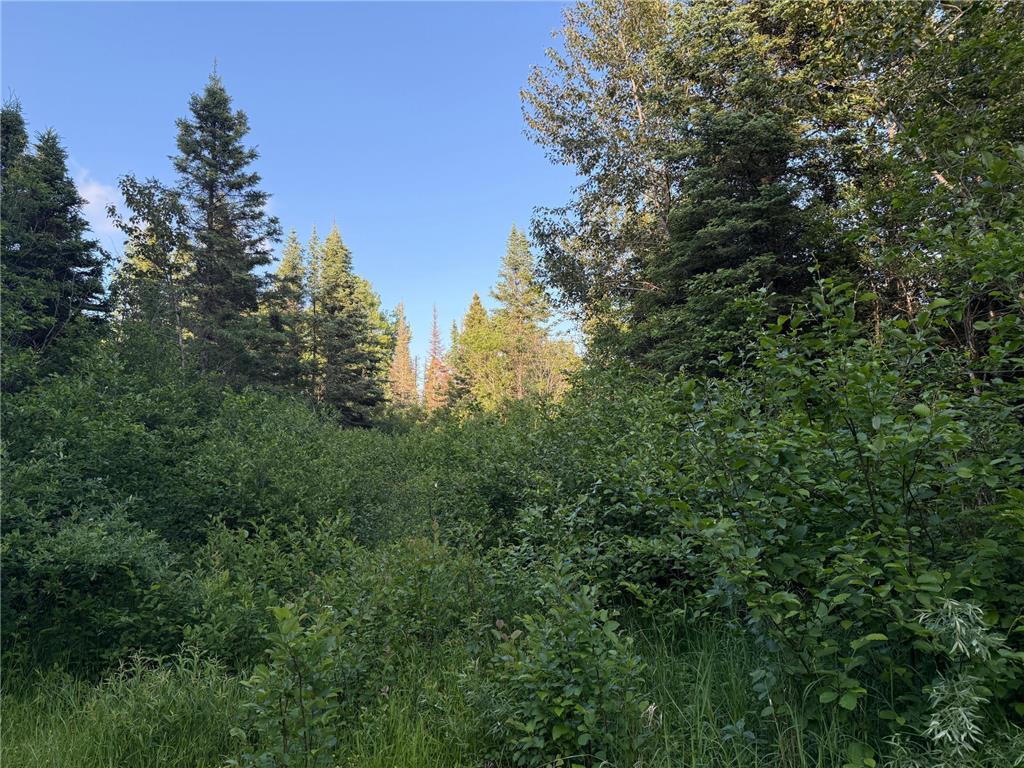 3602 Moose Ridge Rd. Isabella MN 55607 6749194 image53