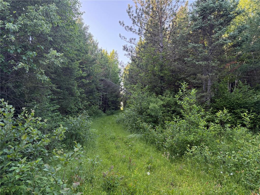 3602 Moose Ridge Rd. Isabella MN 55607 6749194 image54