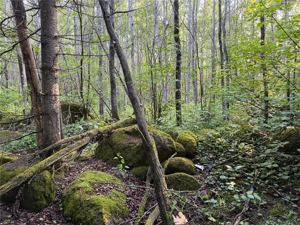 3602 Moose Ridge Rd. Isabella MN 55607 6749194 image55