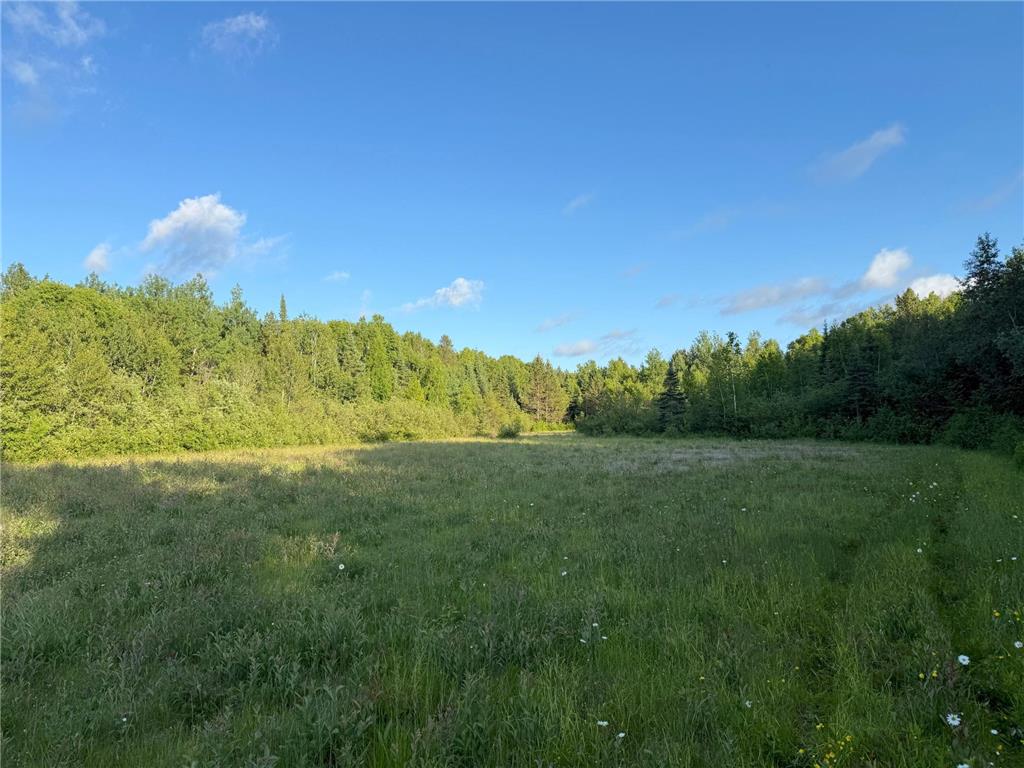 3602 Moose Ridge Rd. Isabella MN 55607 6749194 image61