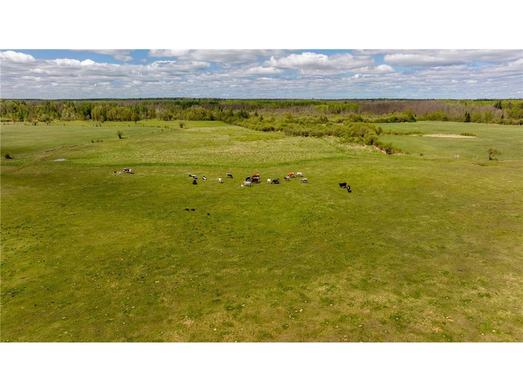 36037 678th Street Hill Lake Twp MN 55748 6727773 image40