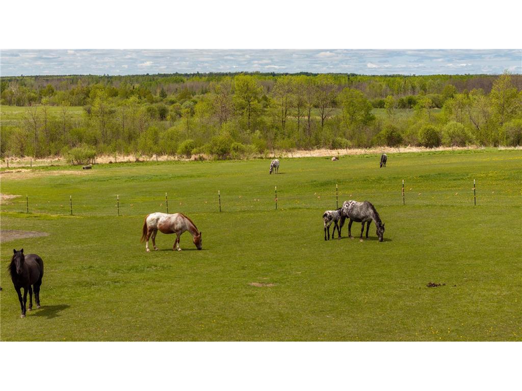 36037 678th Street Hill Lake Twp MN 55748 6727773 image41