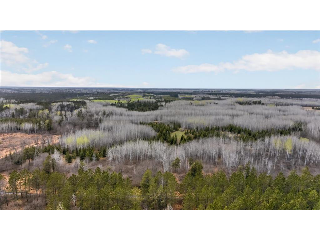 36046 229th Avenue Menahga MN 56464 7076081 image25