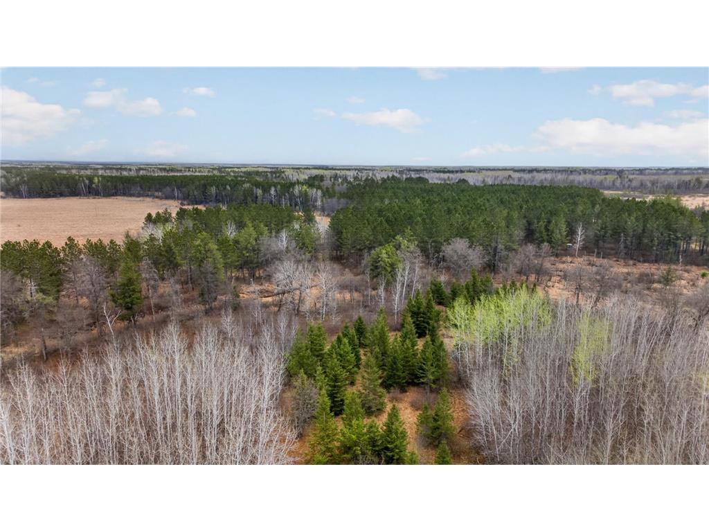 36046 229th Avenue Menahga MN 56464 7076081 image30