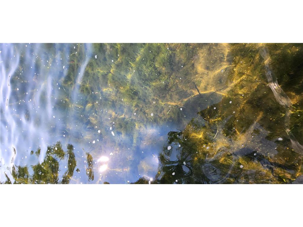 3608 Tolena Road NE Alexandria MN 56308 - Le Homme Dieu 6770534 image23