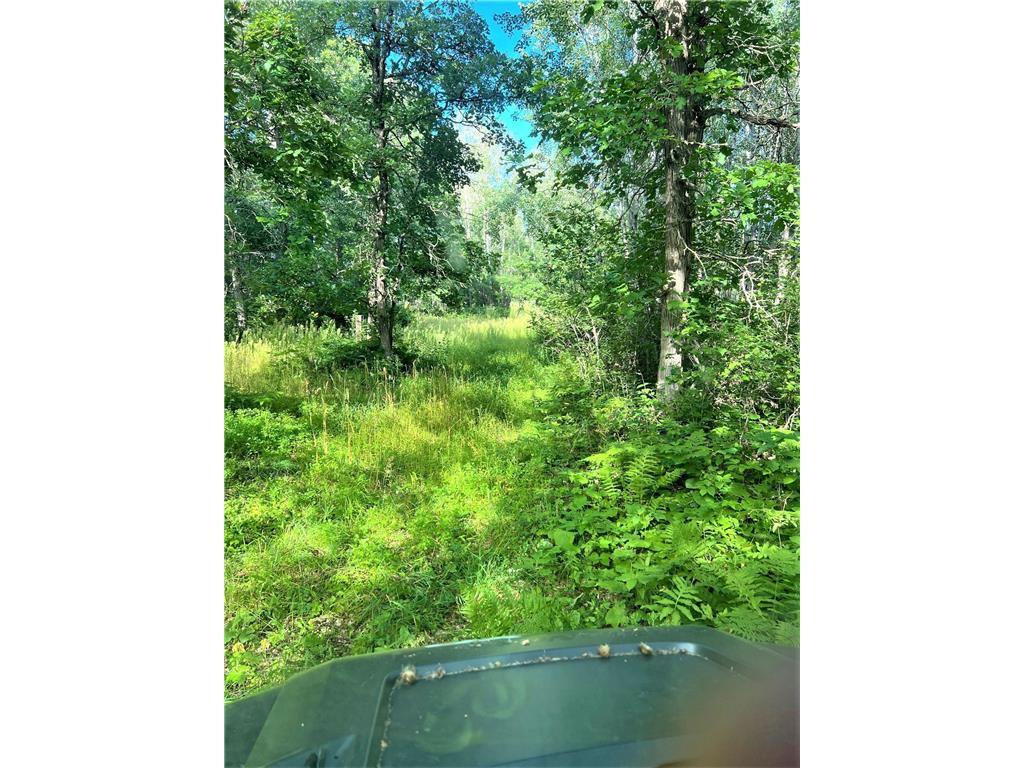 36092 County Road 15 Jenkins MN 56474 6337033 image1