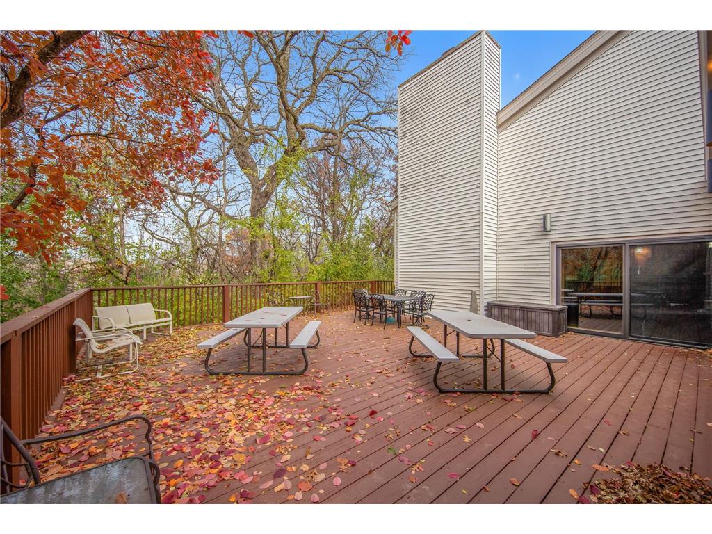 361 Elan Court Woodbury MN 55125 6816394 image48