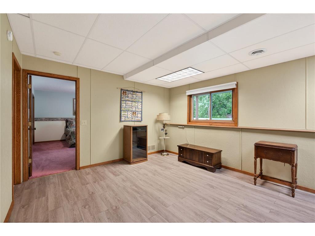 361 Park Avenue Big Lake MN 55309 7091128 image20