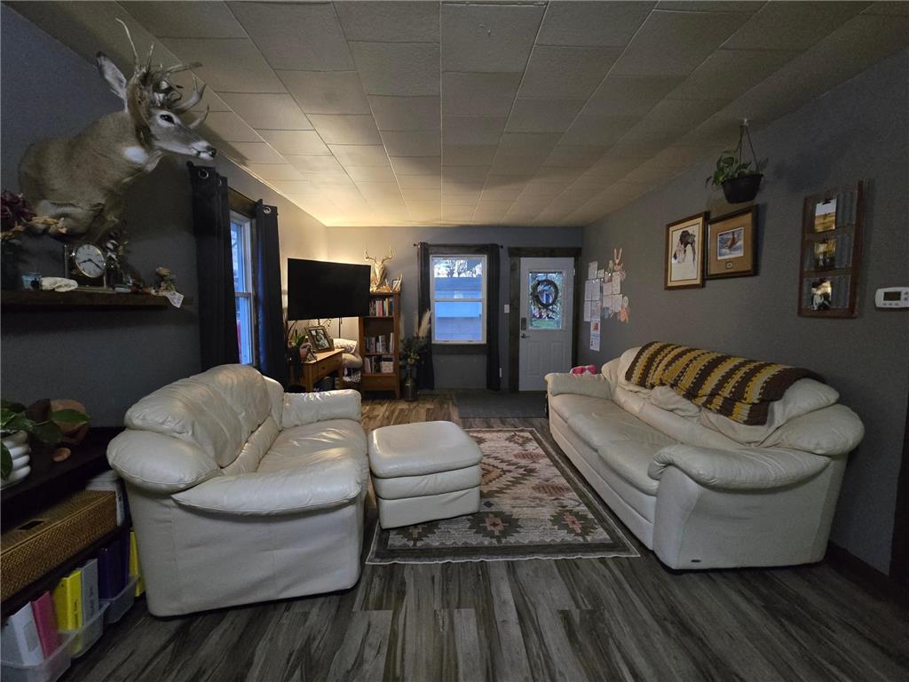 361 S Montgomery Avenue Le Center MN 56057 7054782 image10