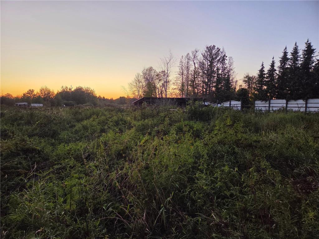 36101 Pincherry RD Cohasset MN 55721 6795163 image1