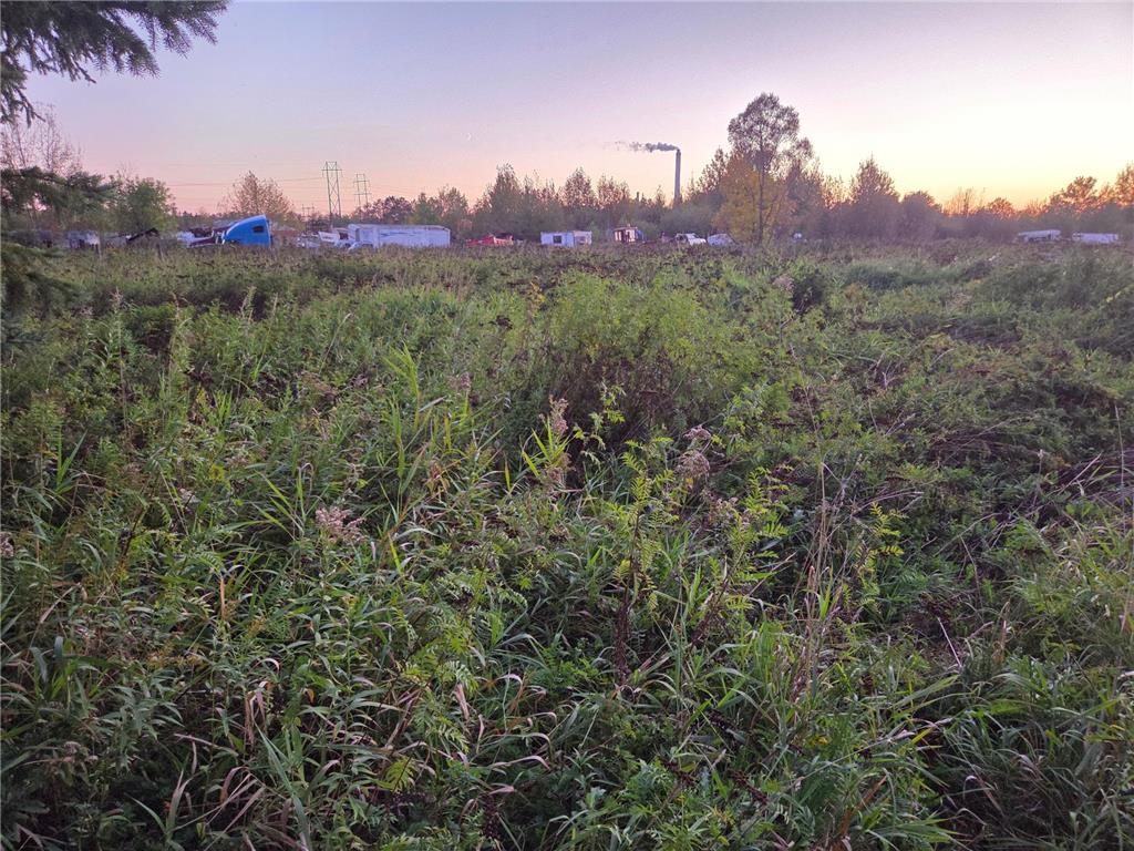 36101 Pincherry RD Cohasset MN 55721 6795163 image5