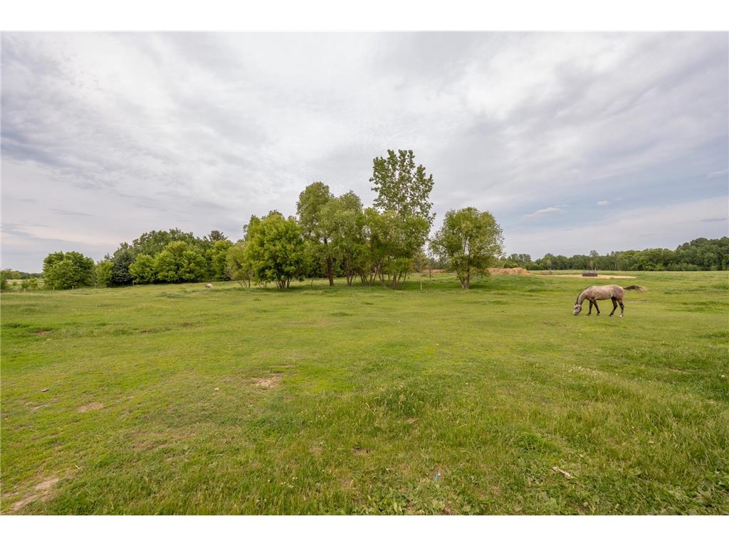 36115 Dolphin Street NW Princeton MN 55371 7081550 image15