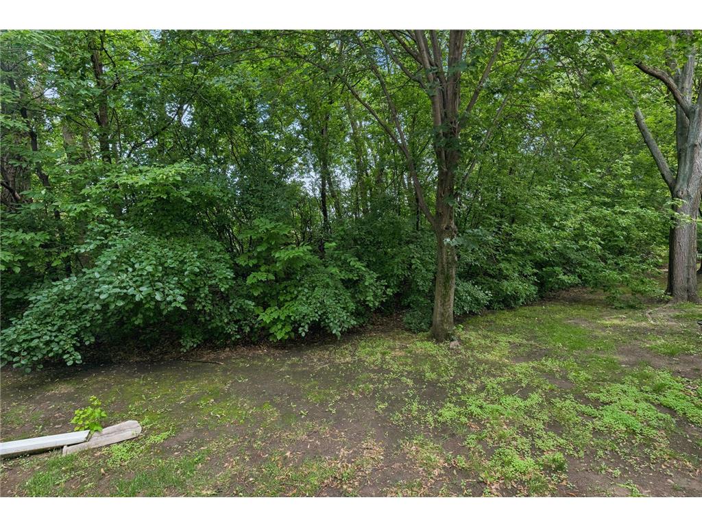 3612 Saint Francis Way #C Eagan MN 55123 7085006 image32