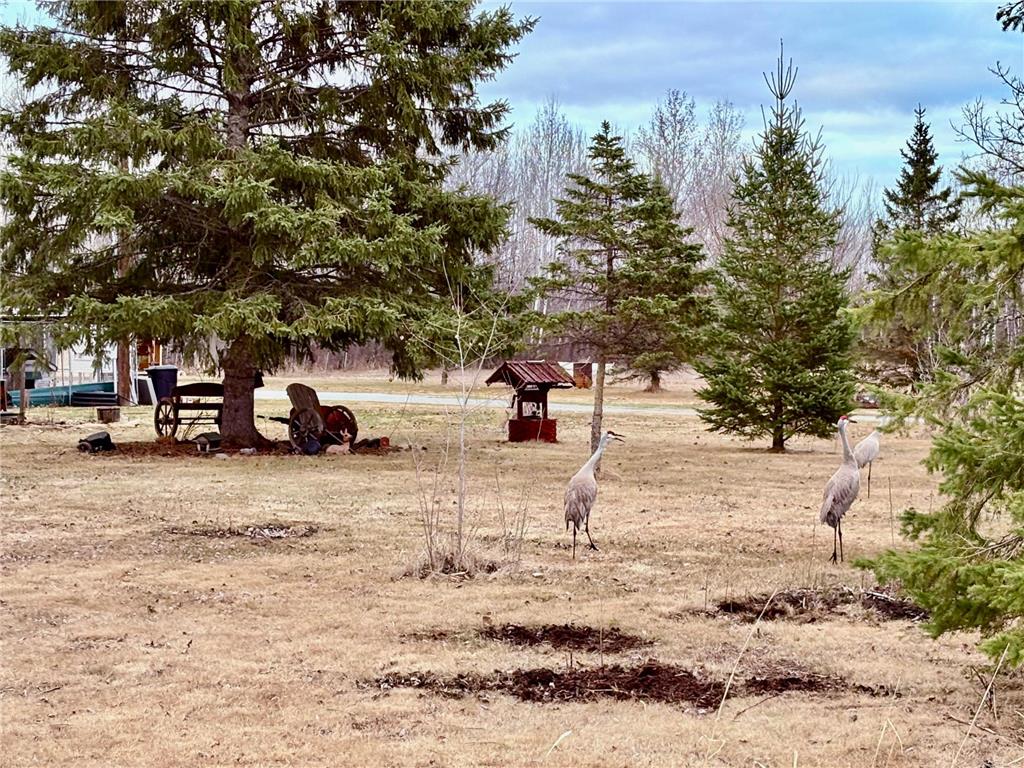 3616 Hay Creek Road SE Baudette MN 56623 7051112 image29